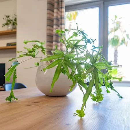 Casa Noma Nel Cuore Del Salento Appartement